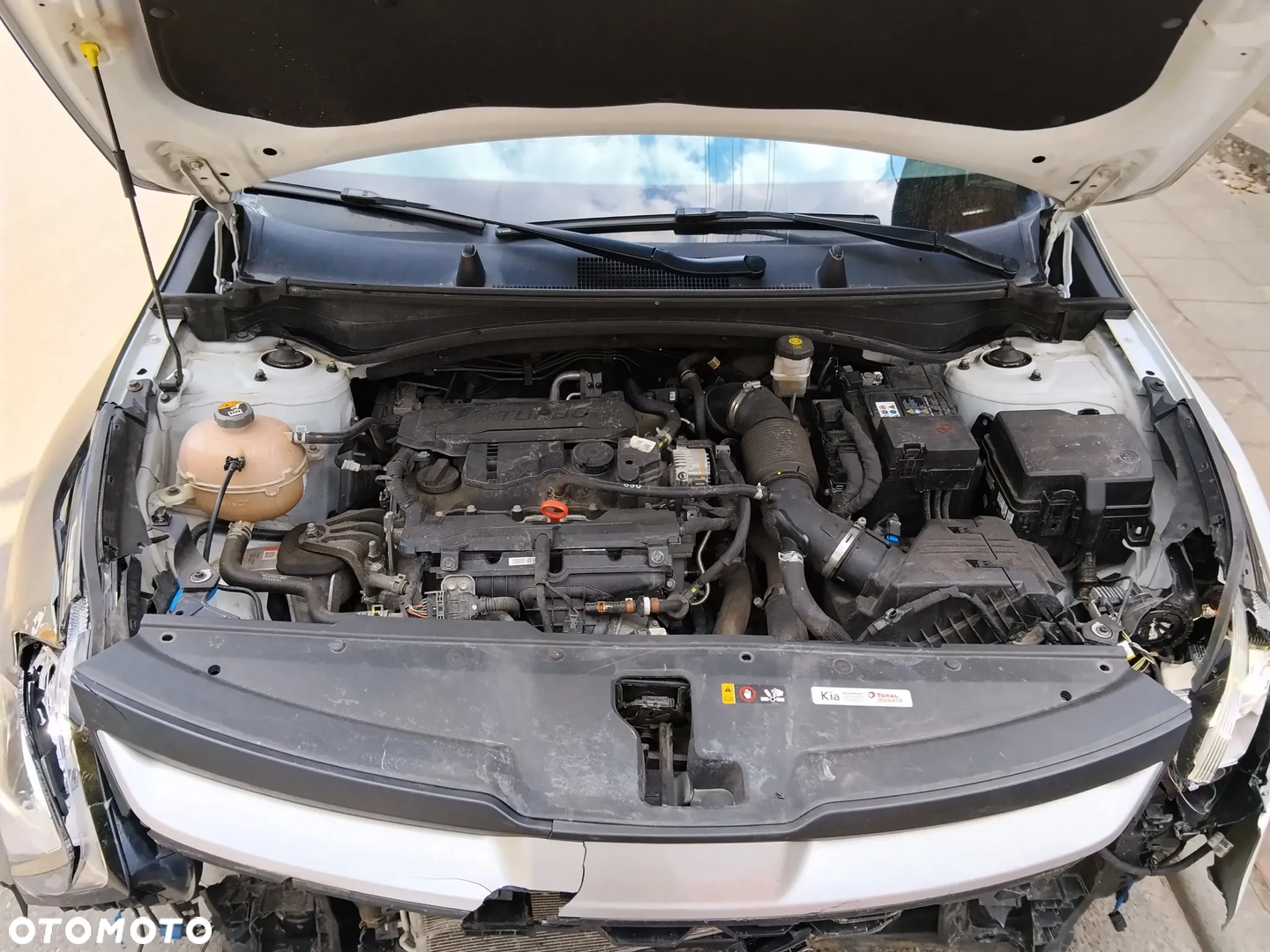 Kia Sportage 1.6 T-GDI MHEV Business Line 4WD DCT